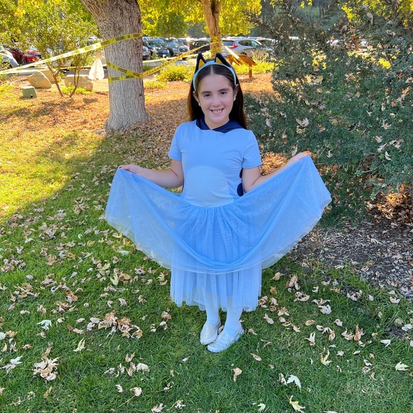 Bluey Blue Dog Dress Taylor Joelle - Picture 12 of 12